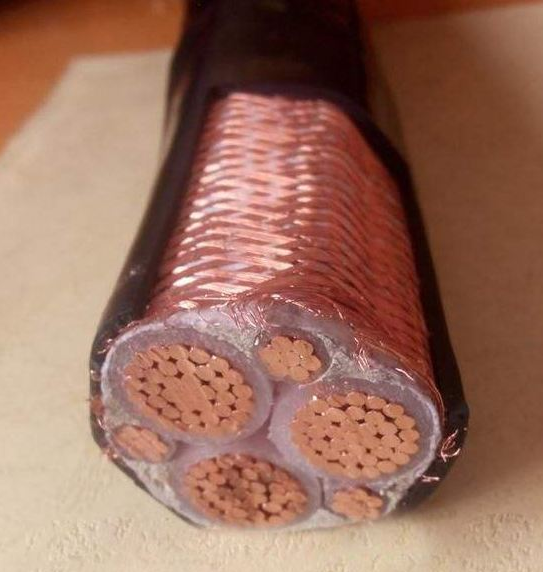 15647033478713.png image.png