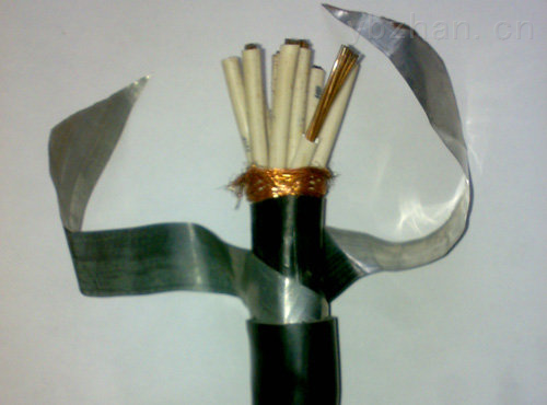 安徽天康电缆KFVP22、KFVP2-22