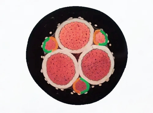 u=2856296724,3645559333&fm=253&fmt=auto&app=138&f=JPEG.webp (1).jpg