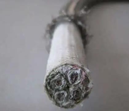 电缆.jpg