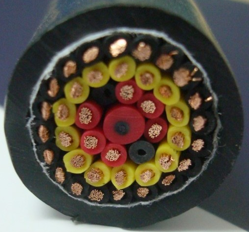 16556935738631.png image.png