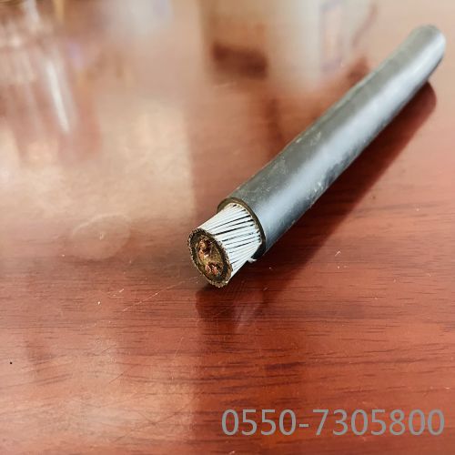 16706369109783.jpg 钢丝铠装电缆12.jpg