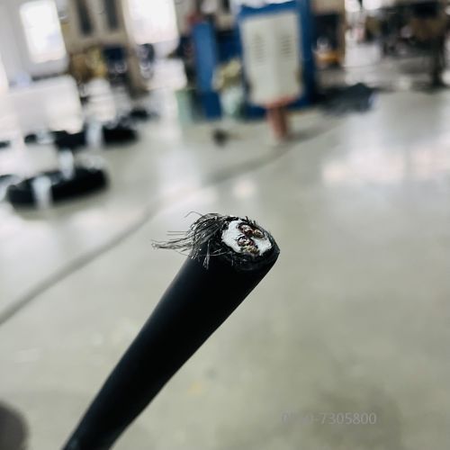 16720198549768.jpg 特种电缆.278.jpg