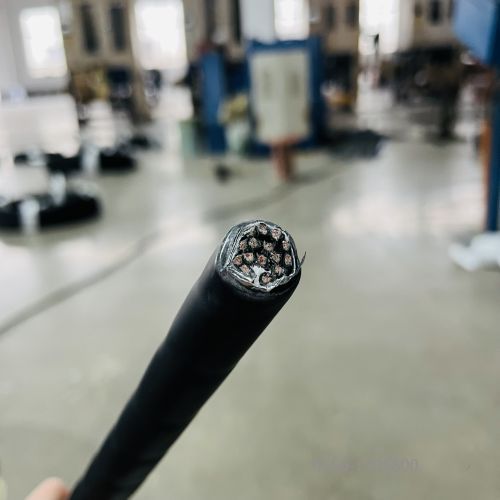 16720199812911.jpg 特种电缆.276.jpg