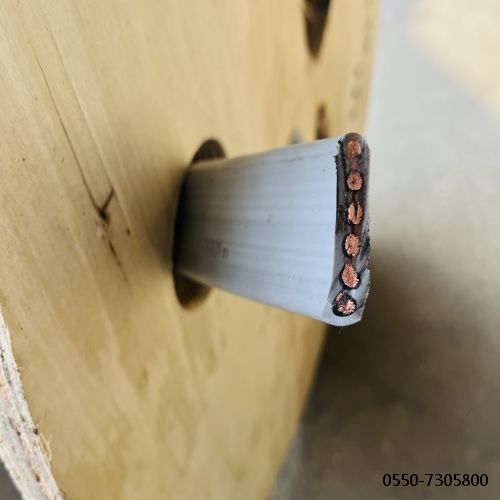 16721070661986.jpg 特种电缆.133.jpg