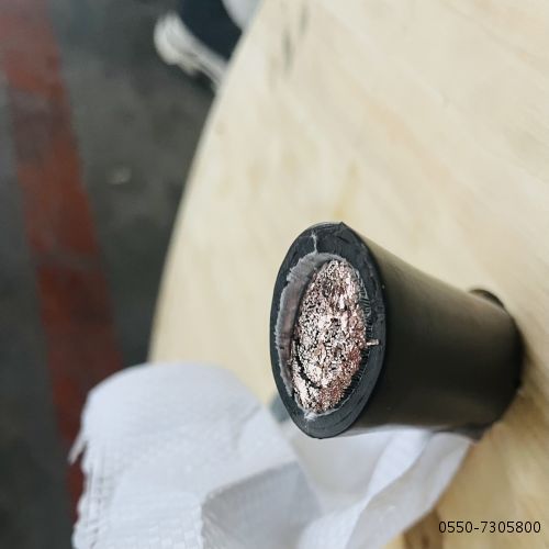 16753872879342.jpg 特种电缆...45.jpg