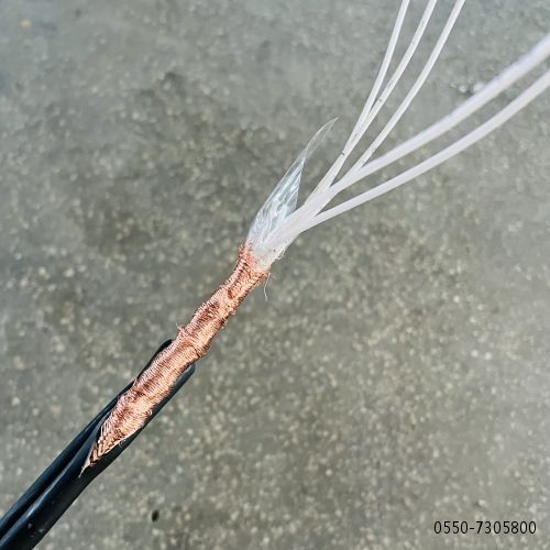 16780655019138.jpg 特种电缆......45.jpg