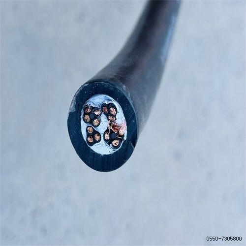 16825558445754.jpg 特种电缆厂家279.jpg