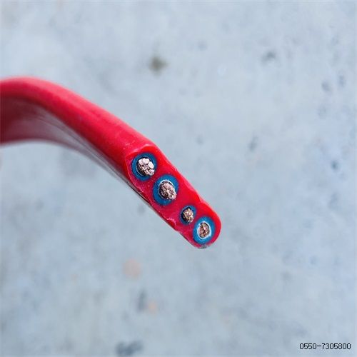 16835061308474.jpg 特种电缆厂家215.jpg