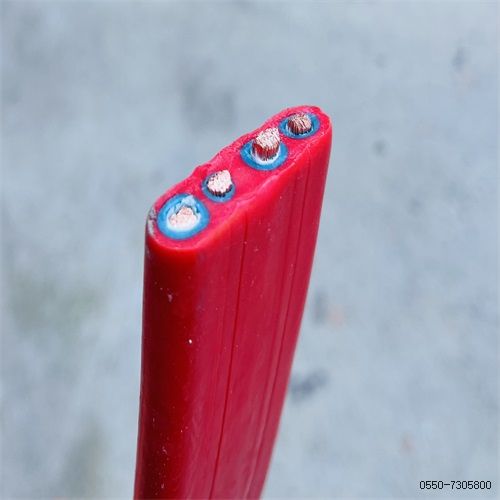 16835062439456.jpg 特种电缆厂家218.jpg