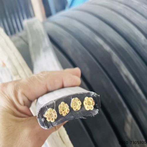 16835958234152.jpg 特种电缆.....6.jpg