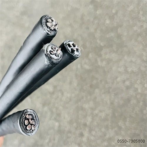 16841160865709.jpg 特种电缆厂家23.jpg