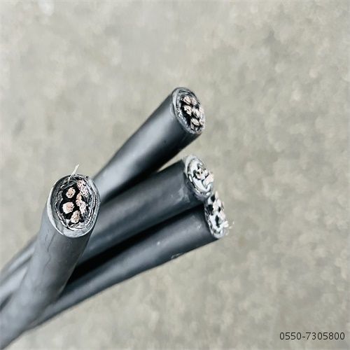 16841162323582.jpg 特种电缆厂家22.jpg