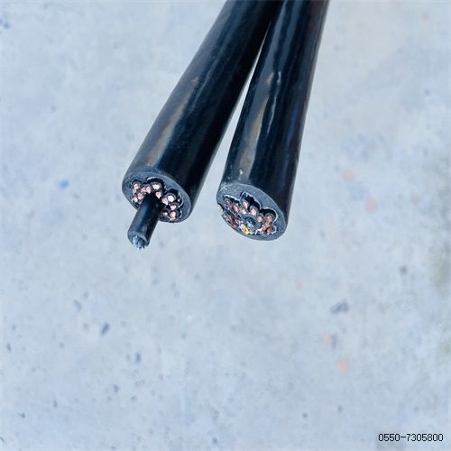 16842845148957.jpg 特种电缆厂家263.jpg