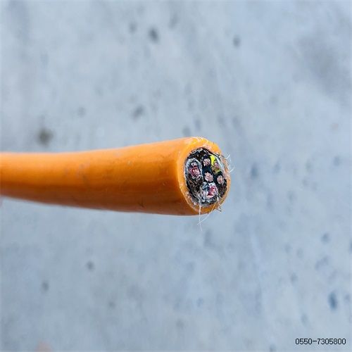 16856700476170.jpg 特种电缆厂家197.jpg