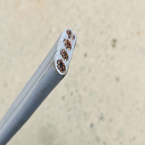 16897276413052.jpg IMG_2474.jpg