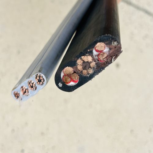 16898201353348.jpg IMG_2508.jpg