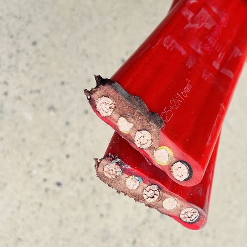 16911986107871.jpg IMG_2463.jpg