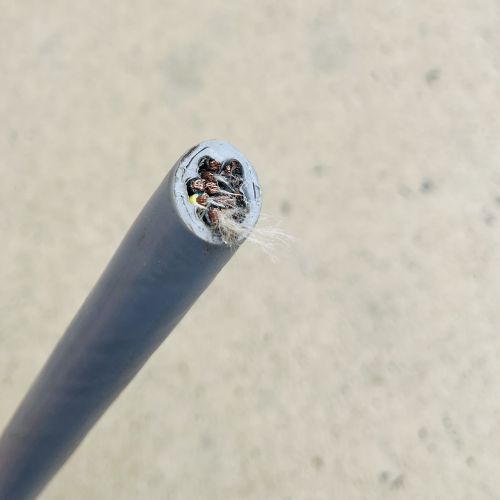 16918915407270.jpg IMG_4454.JPG