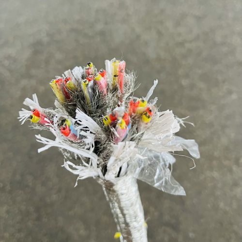 16920579214763.jpg IMG_6491.jpg