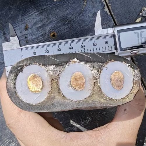 16934465152104.jpg IMG_6353.jpg