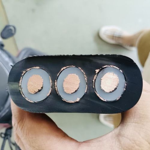 16934466904904.jpg IMG_8062.jpg