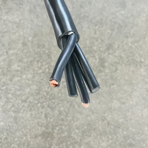 16955225431140.jpg IMG_5394.jpg