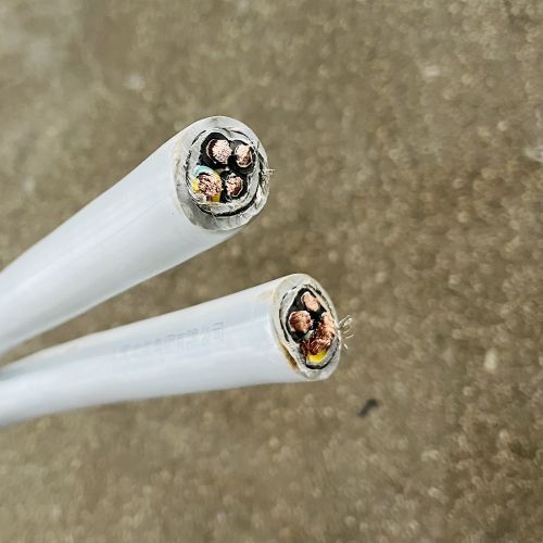 16970714278755.jpg IMG_4371.JPG