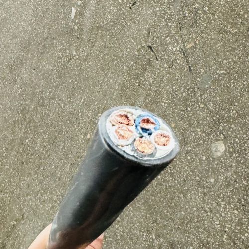 17007866225318.jpg IMG_2313.jpg