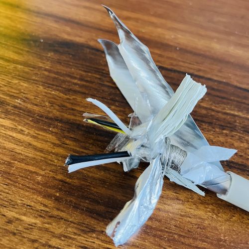 17016524902852.jpg IMG_9873.jpg