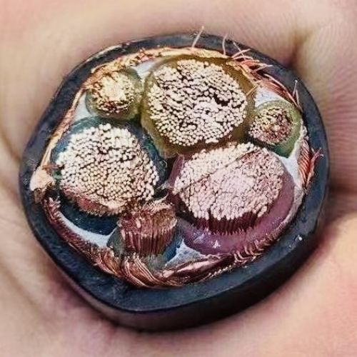 17019135564168.jpg IMG_1671.jpg