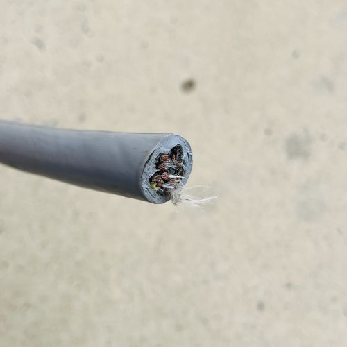 17032082393409.jpg IMG_4453.JPG