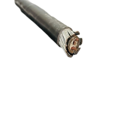 17062562171758.png IMG_0803.png