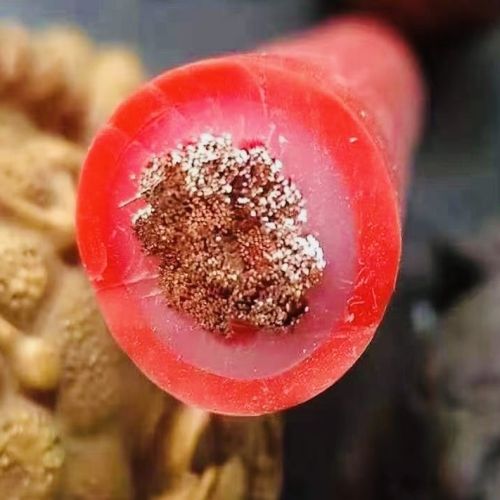 17209188299106.jpg IMG_0428.jpg