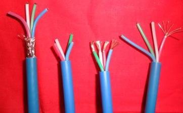 15520353931869.jpg u=4116750135,355090114&fm=202&mola=new&crop=v1.jpg