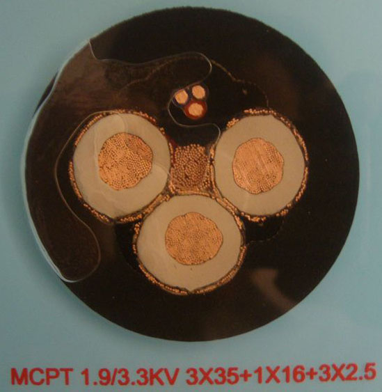111H15295-0.jpg